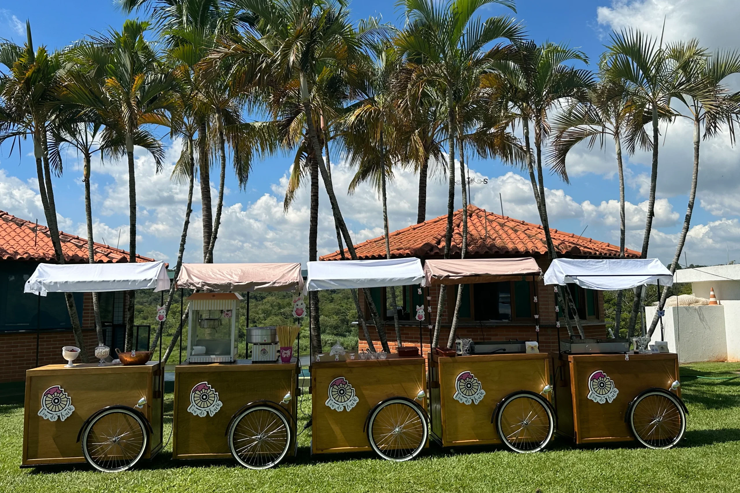 Varios carros de foodtruck para festa